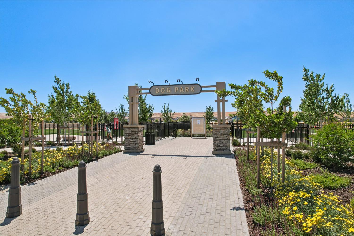 Maddy Avenue, Tracy, California image 29