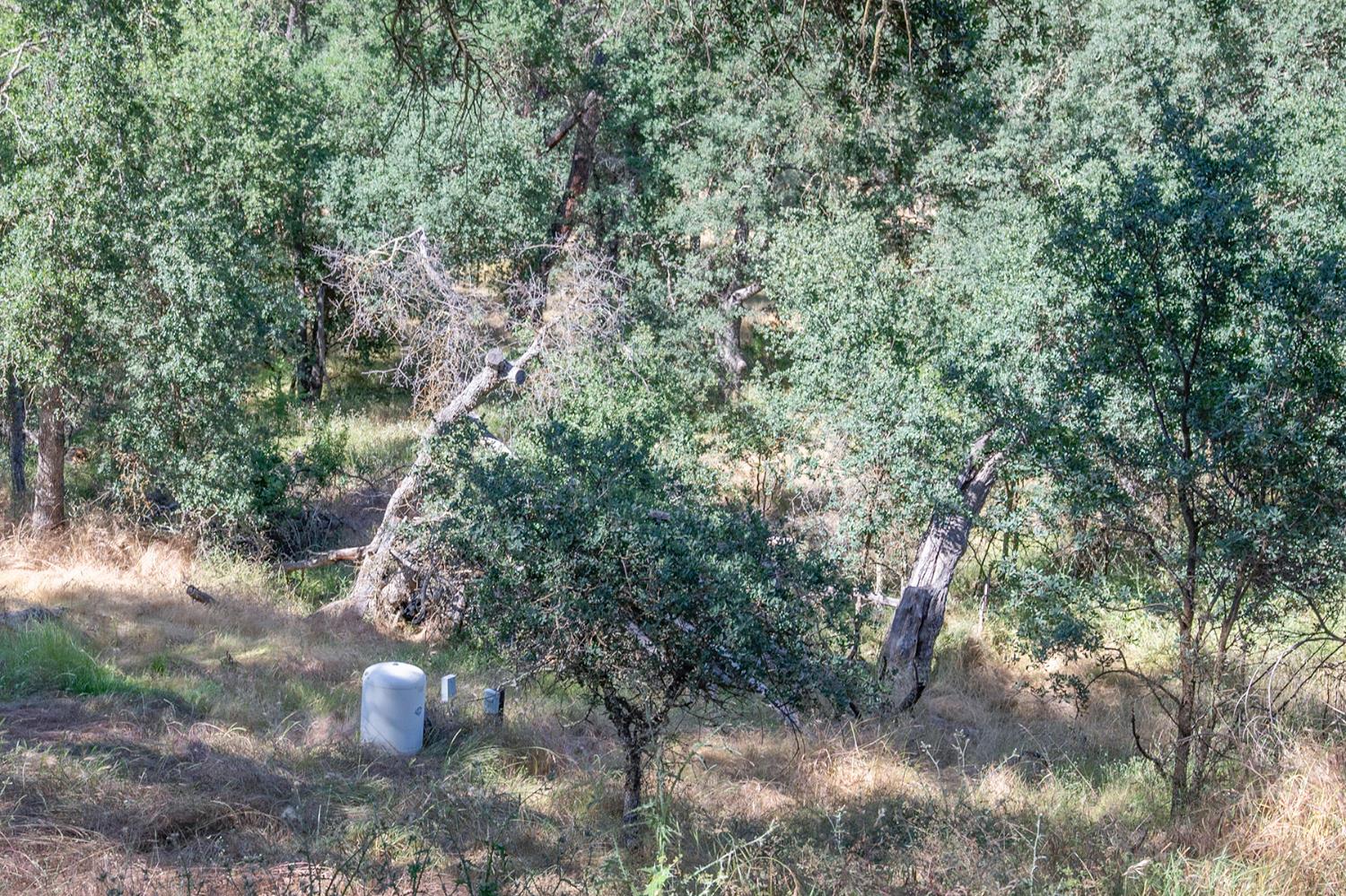 Campo Seco Road, Campo Seco, California image 49