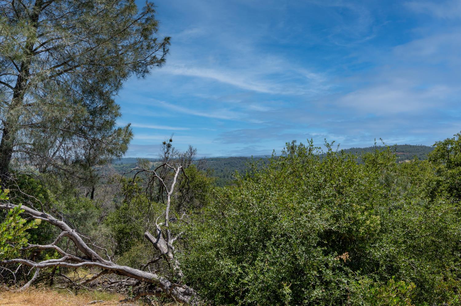 Roving Way, Grass Valley, California image 17