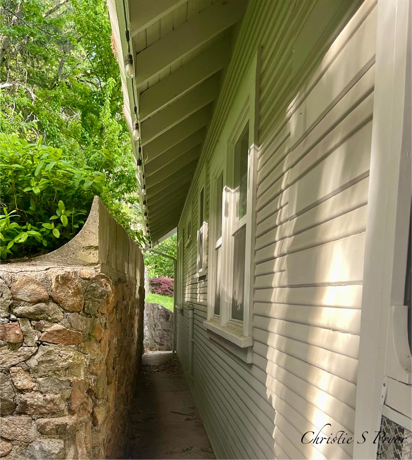 Elinore Street, Dunsmuir, California image 6