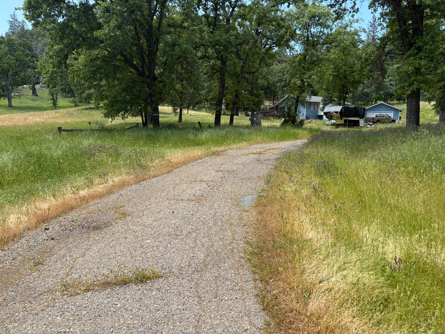 Forrest Oak Road, Pioneer, California image 2