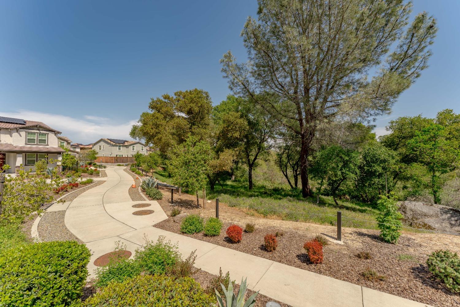 Shoveler Lane, Rocklin, California image 24