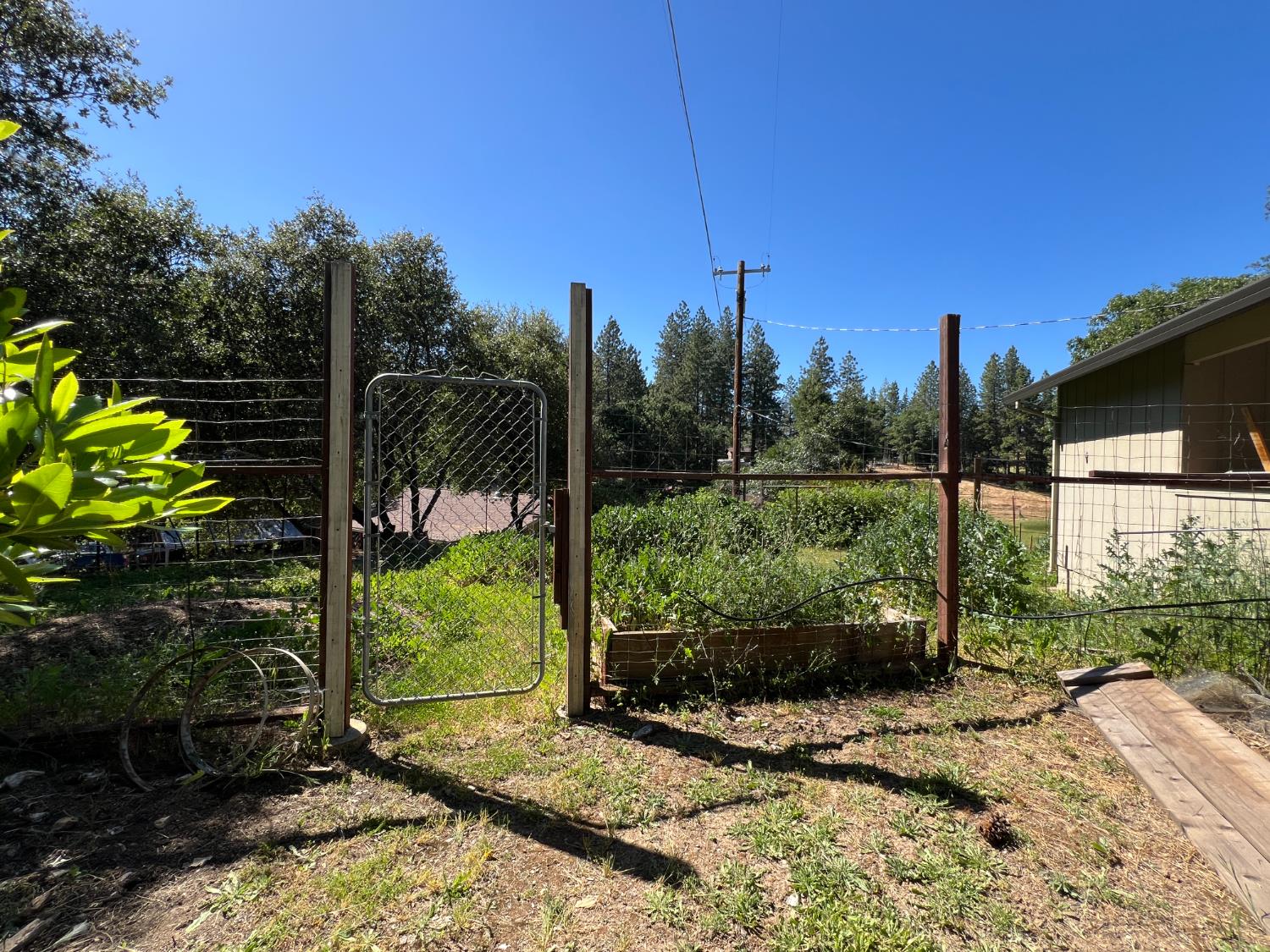 Olympia Lane, Placerville, California image 10