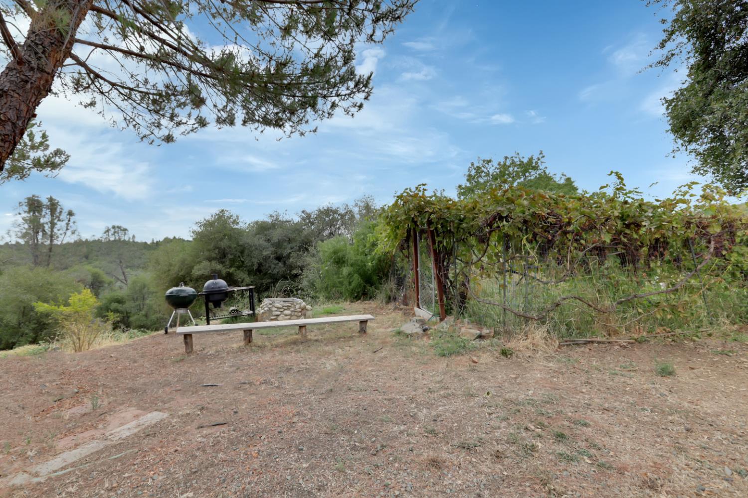 Barbario Lane, Nevada City, California image 7