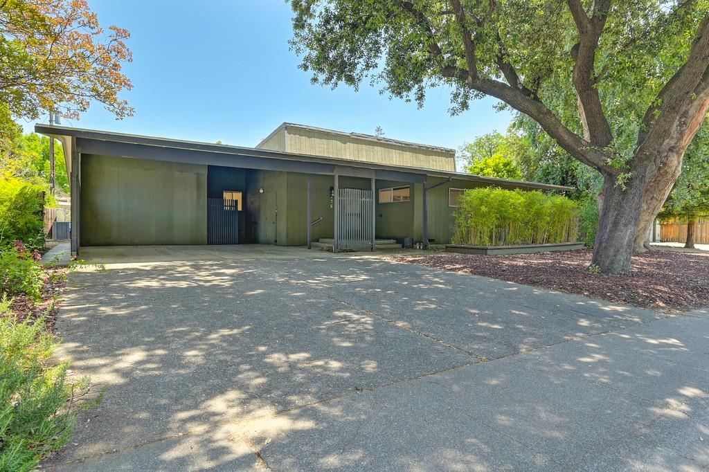 Sycamore Lane, Davis, California image 1
