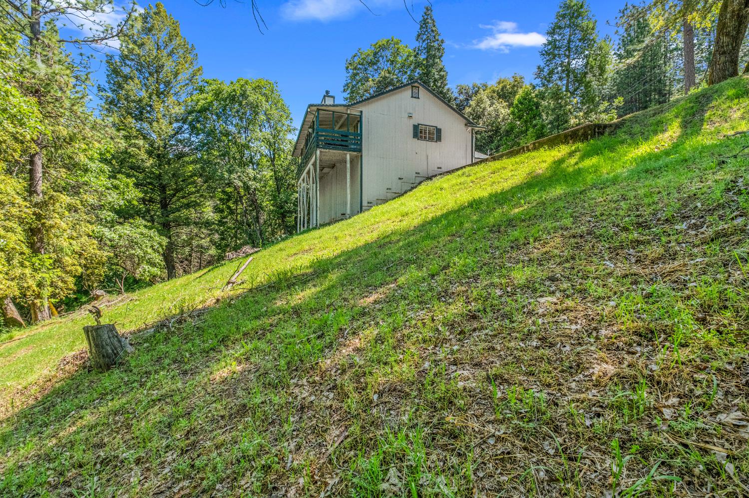 Sly Park Road, Placerville, California image 49