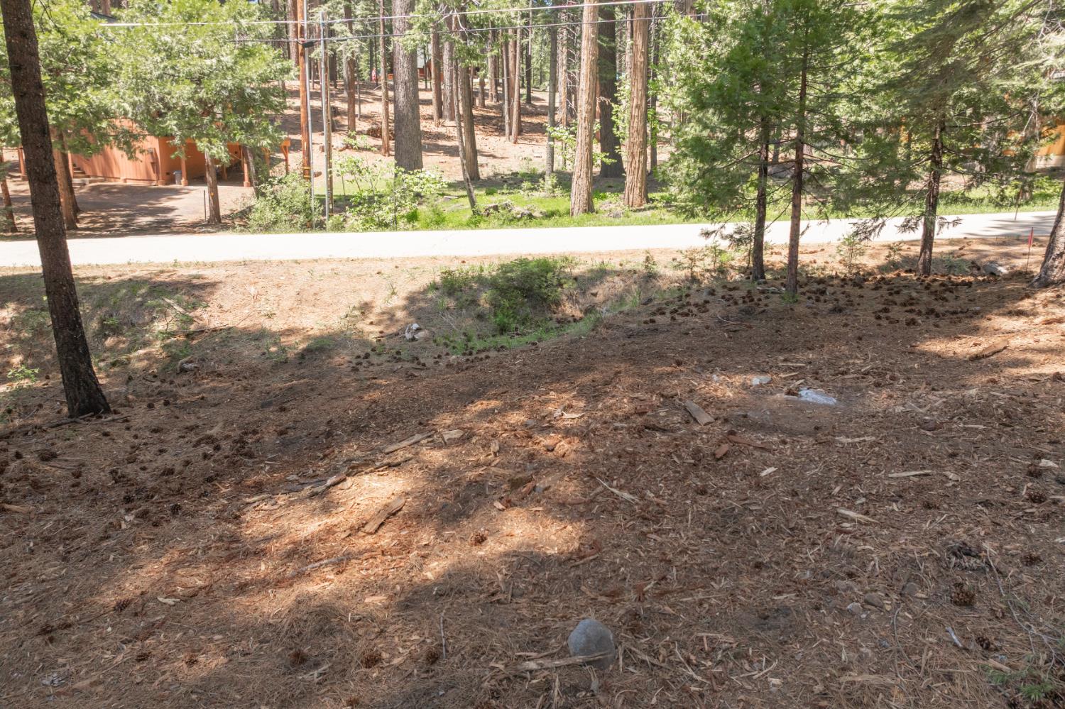 Shoshone Drive, Camp Connell, California image 5
