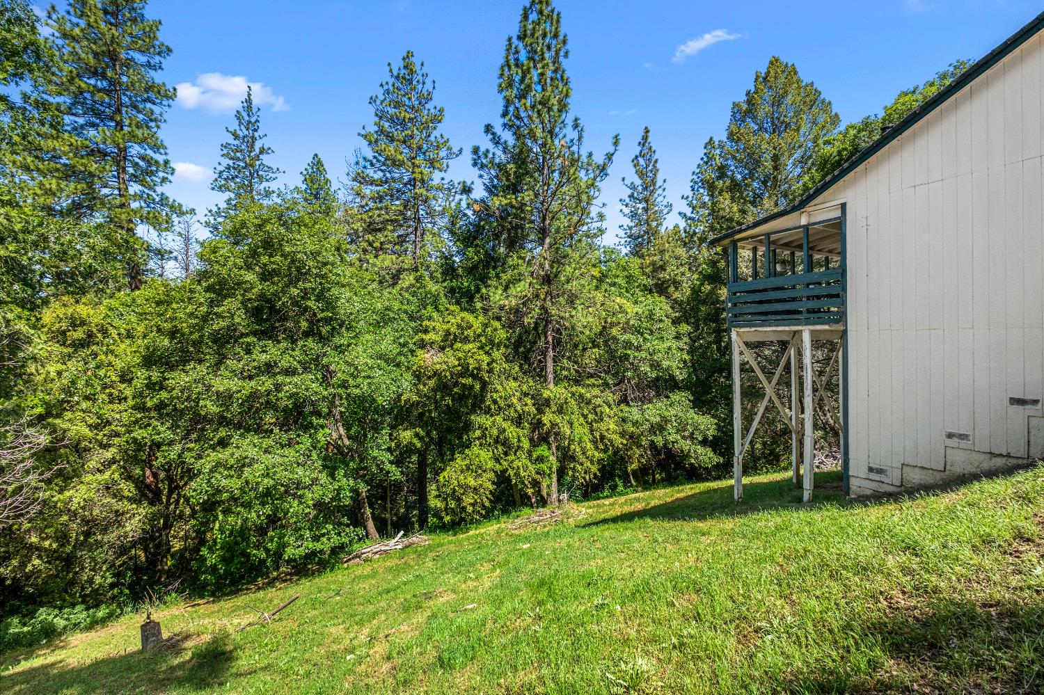 Sly Park Road, Placerville, California image 47