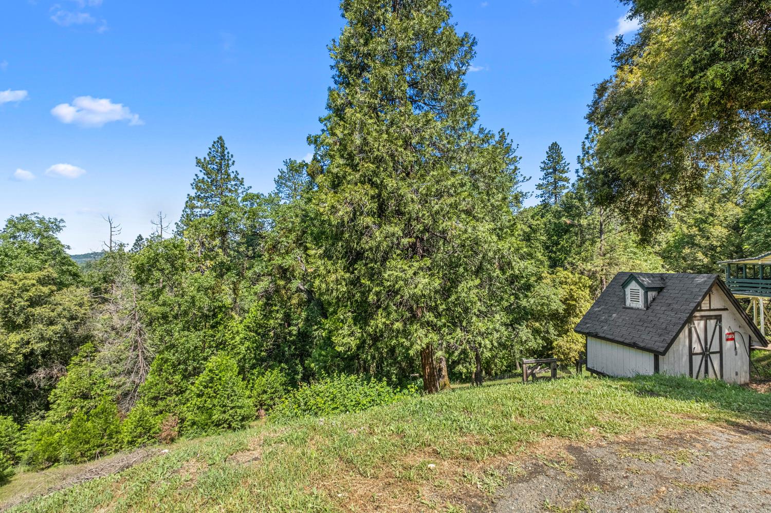 Sly Park Road, Placerville, California image 44