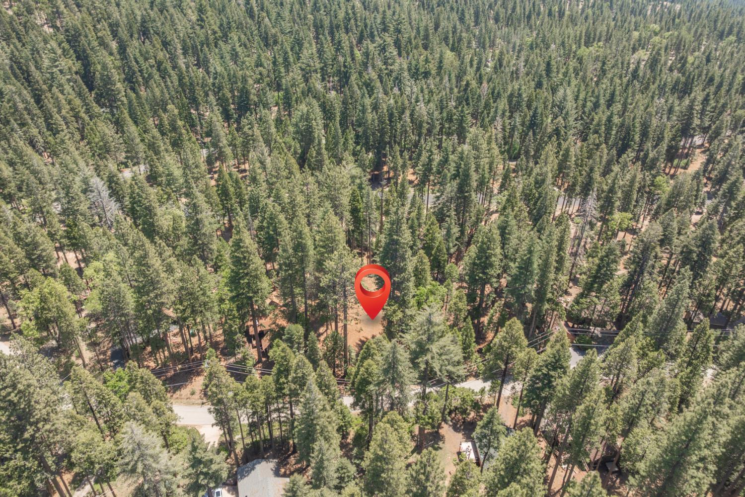 Shoshone Drive, Camp Connell, California image 4
