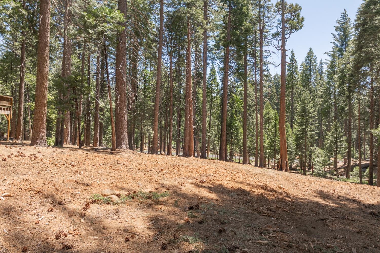 Shoshone Drive, Camp Connell, California image 3
