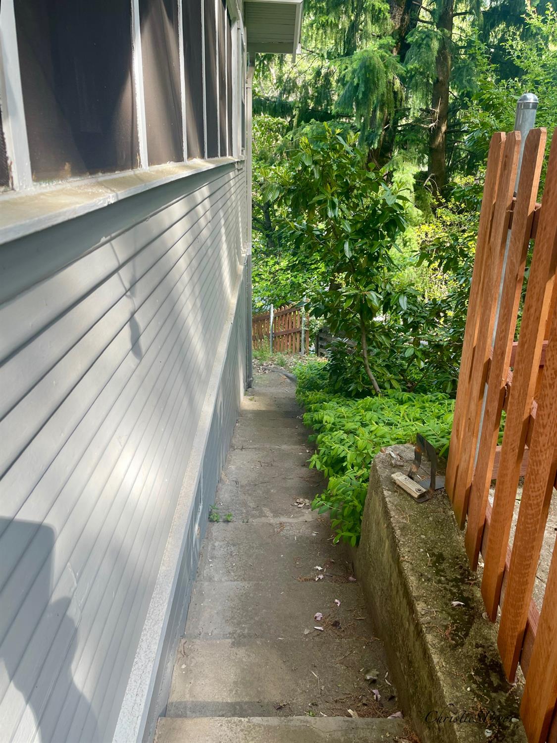 Elinore Street, Dunsmuir, California image 7