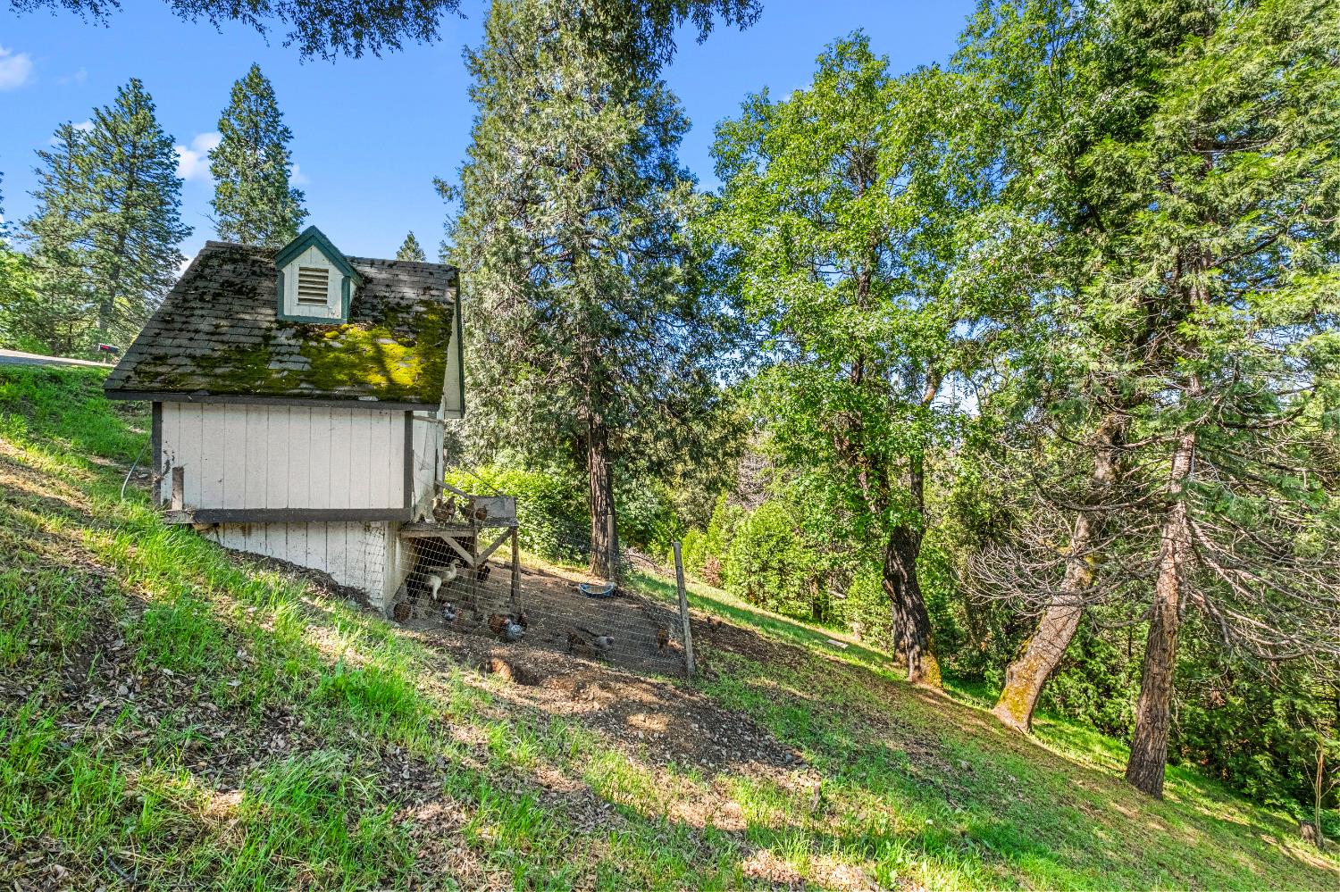 Sly Park Road, Placerville, California image 46