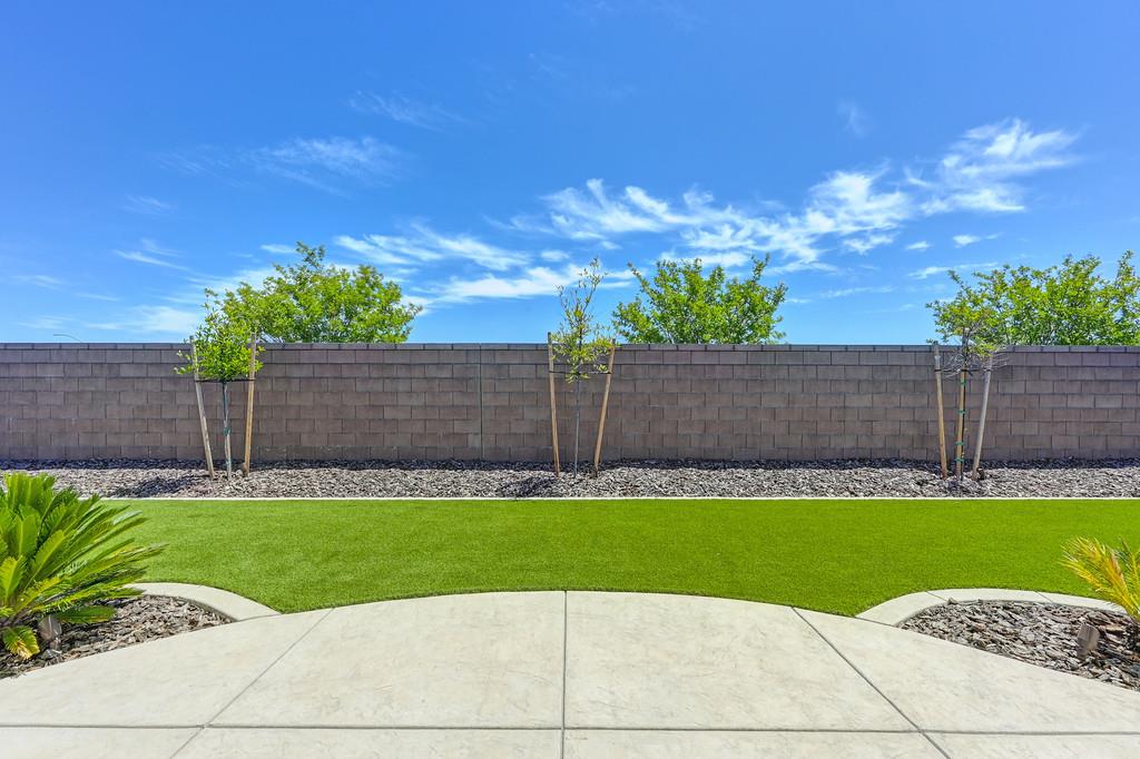 Pacific Wren Way, Folsom, California image 36