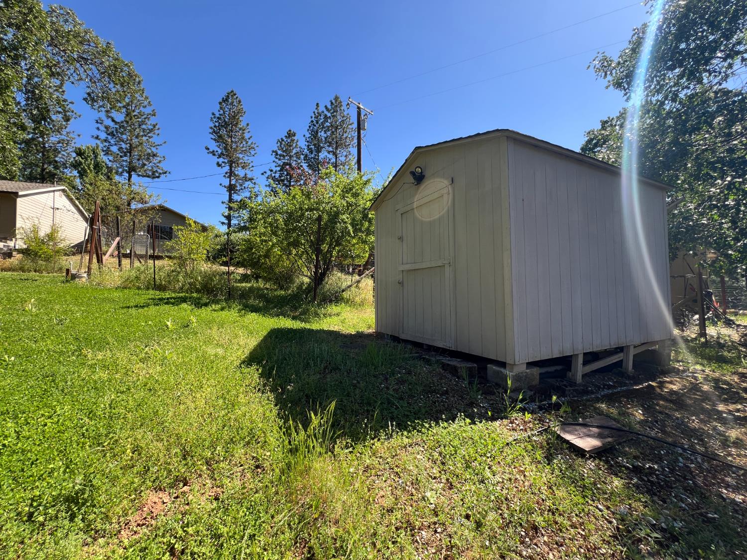 Olympia Lane, Placerville, California image 5