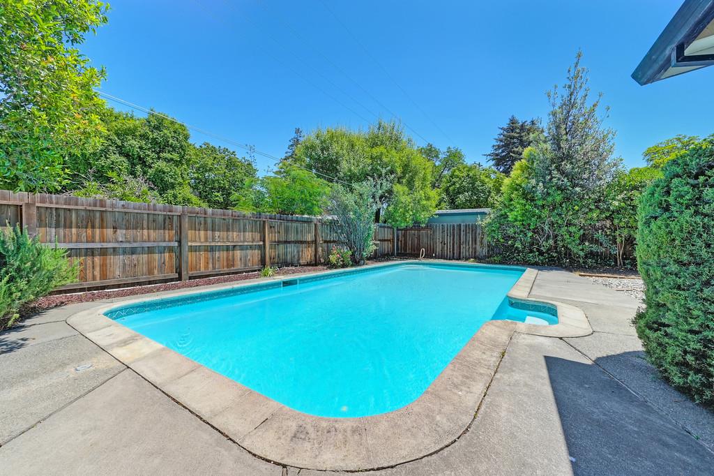 Sycamore Lane, Davis, California image 49