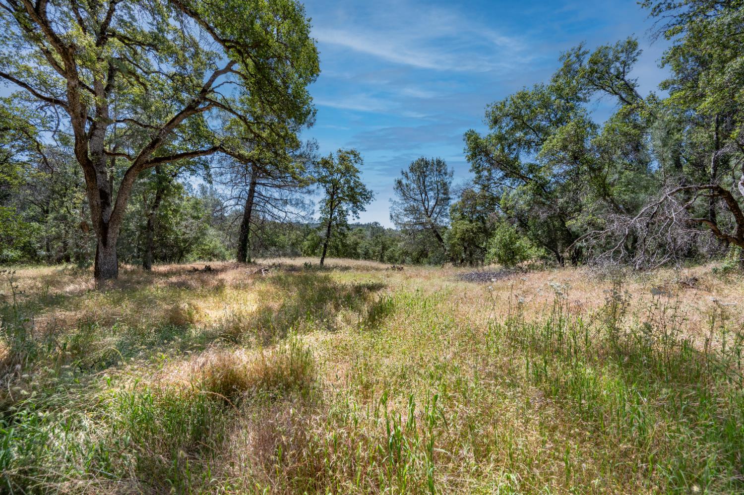Roving Way, Grass Valley, California image 13