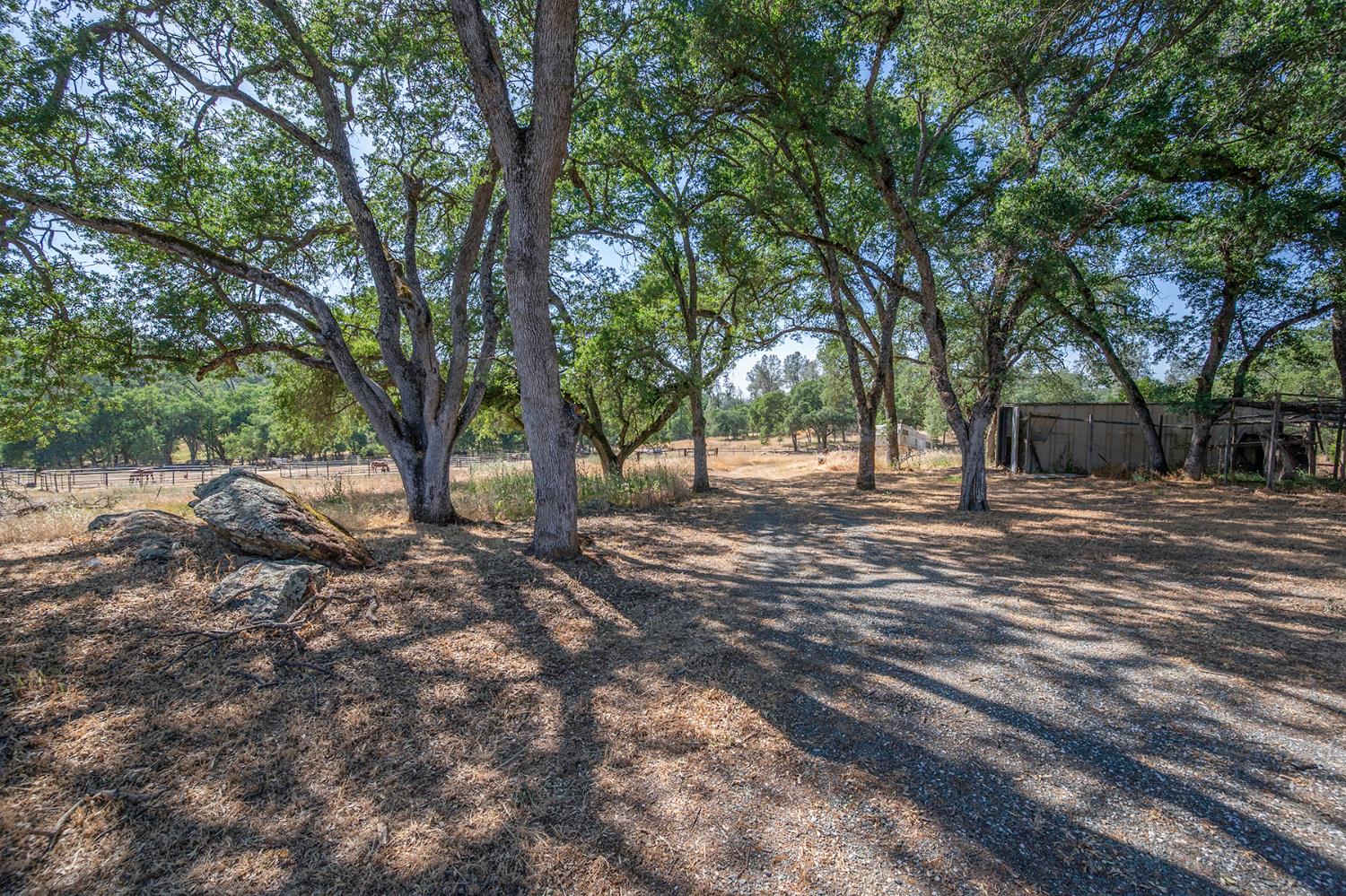Campo Seco Road, Campo Seco, California image 44