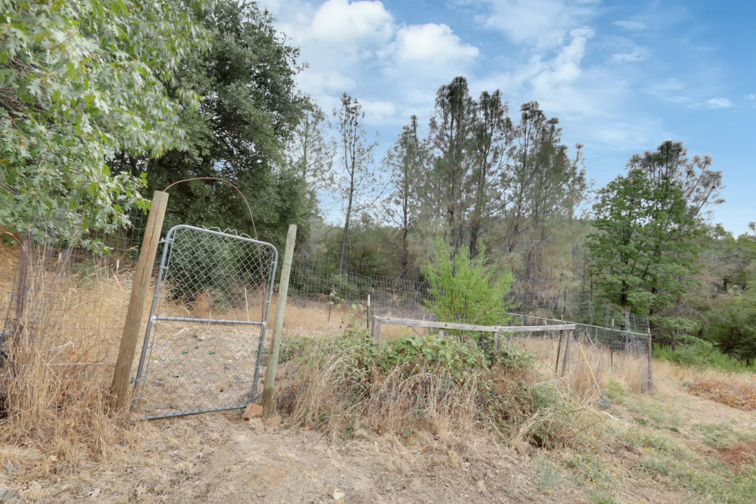 Barbario Lane, Nevada City, California image 8