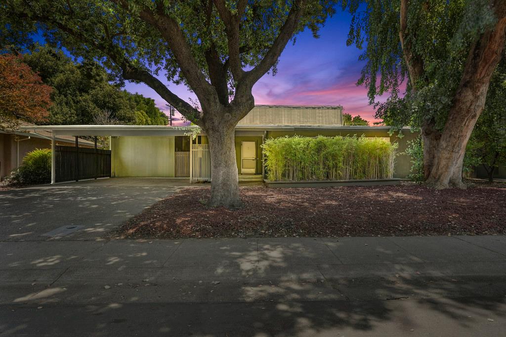 Sycamore Lane, Davis, California image 4