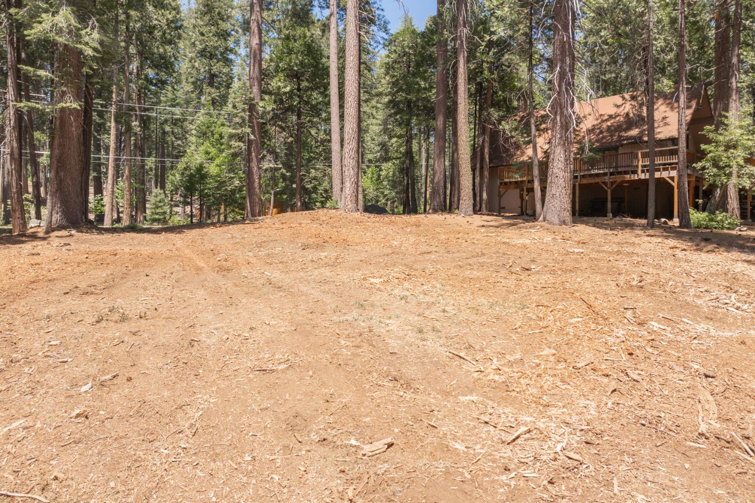 Shoshone Drive, Camp Connell, California image 10
