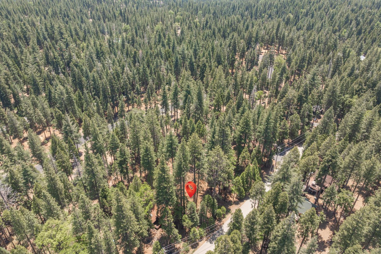 Shoshone Drive, Camp Connell, California image 9