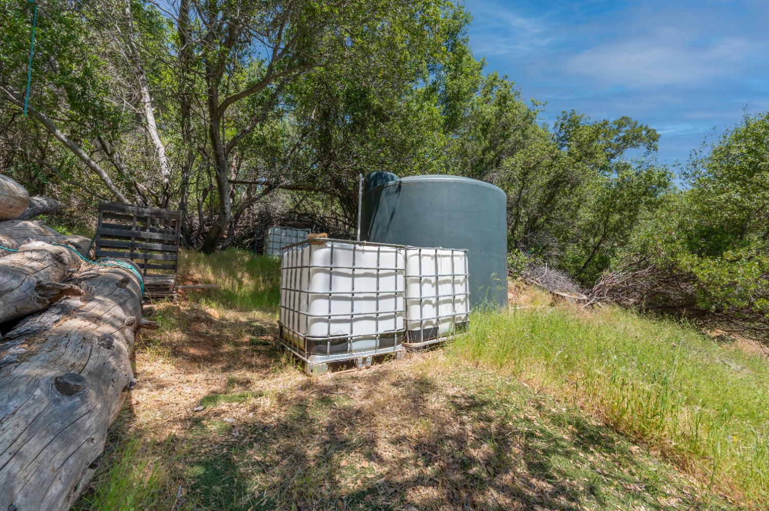 Roving Way, Grass Valley, California image 12