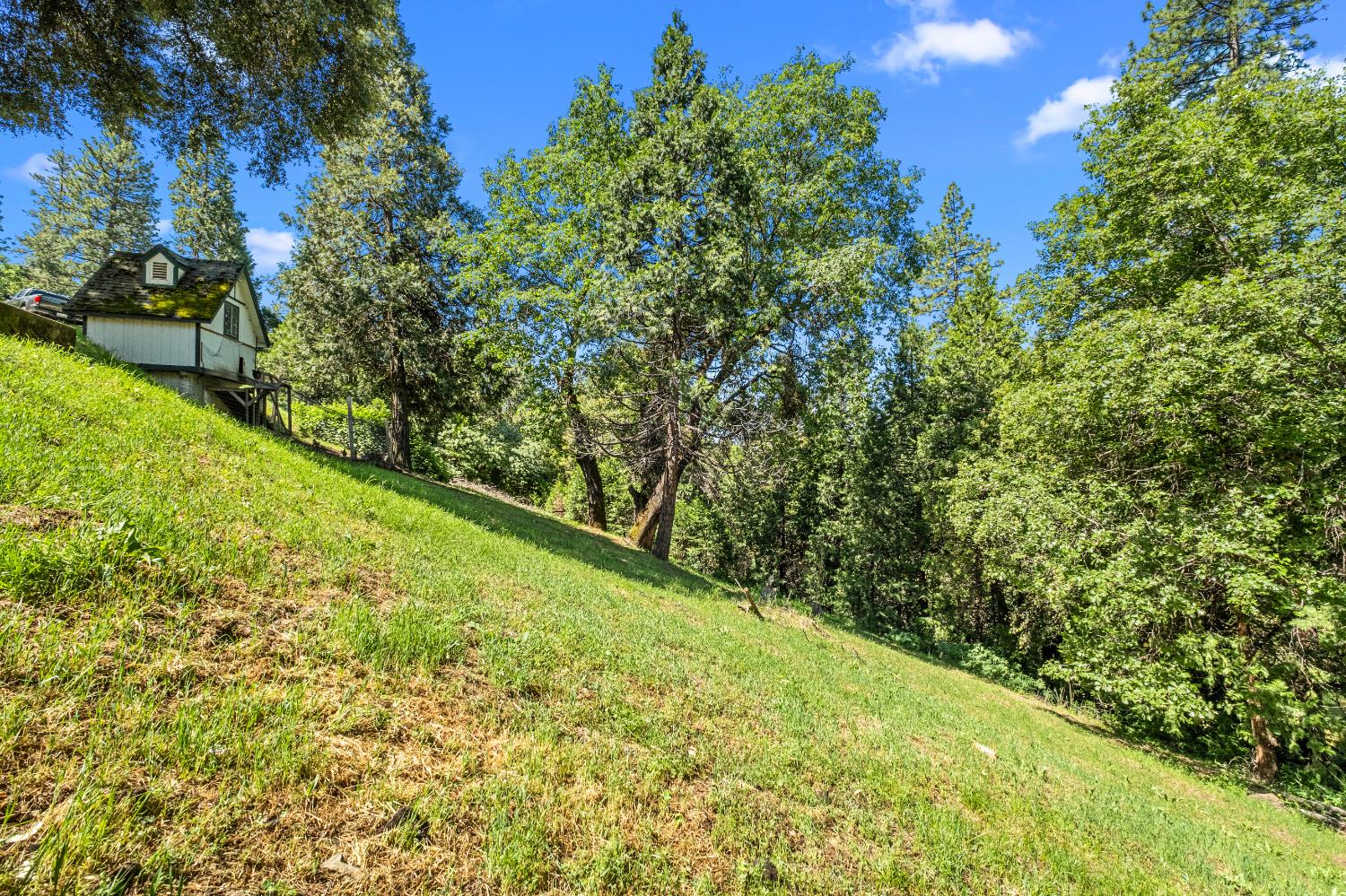 Sly Park Road, Placerville, California image 48