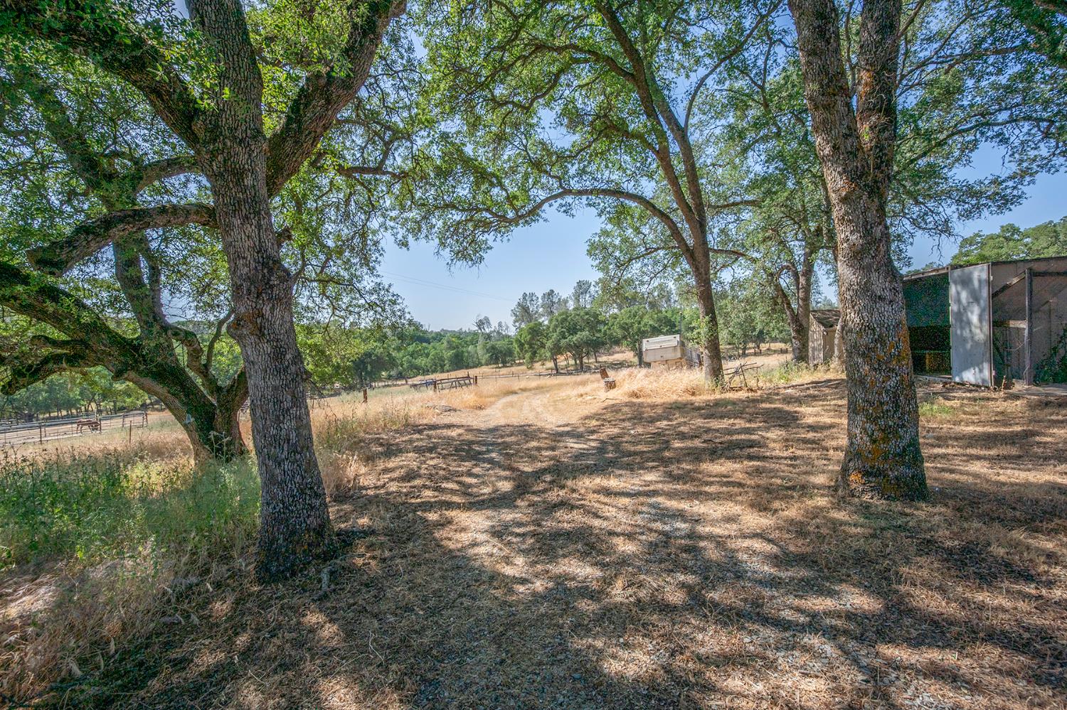 Campo Seco Road, Campo Seco, California image 45