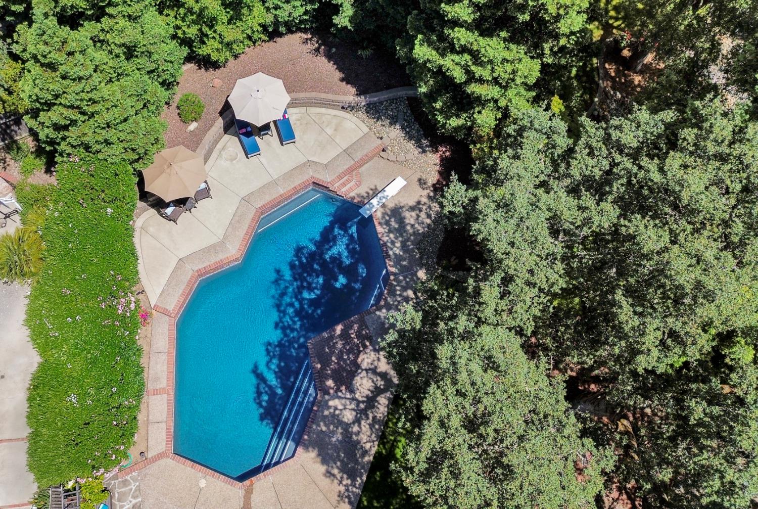 Avaline Court, Folsom, California image 33