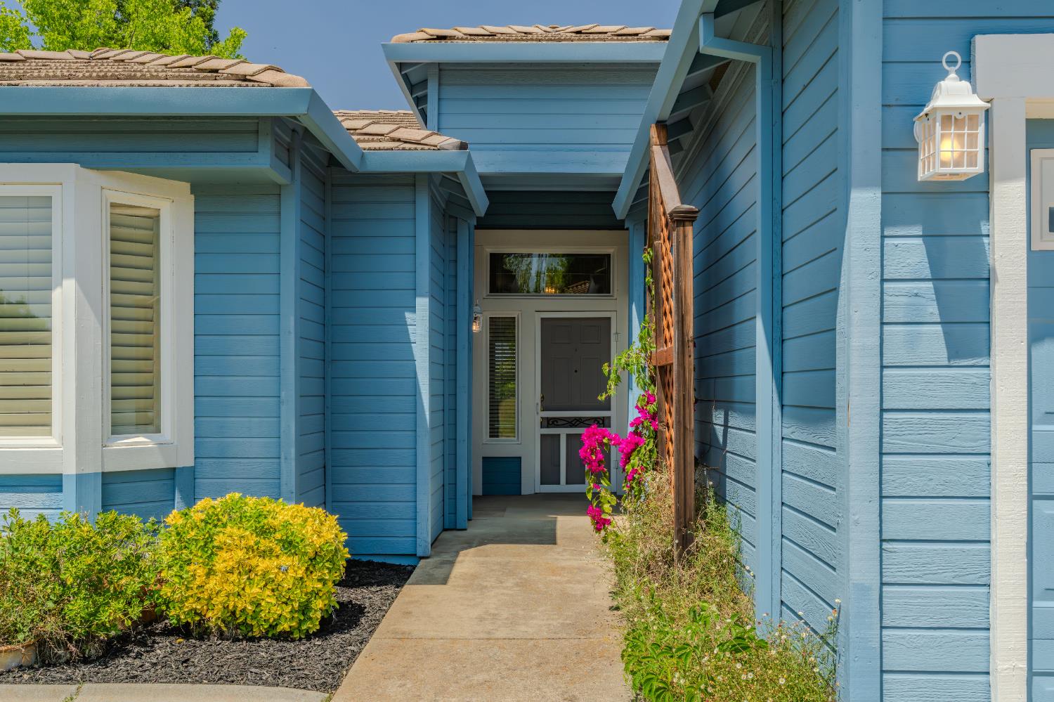 Oakview Drive, Ione, California image 3