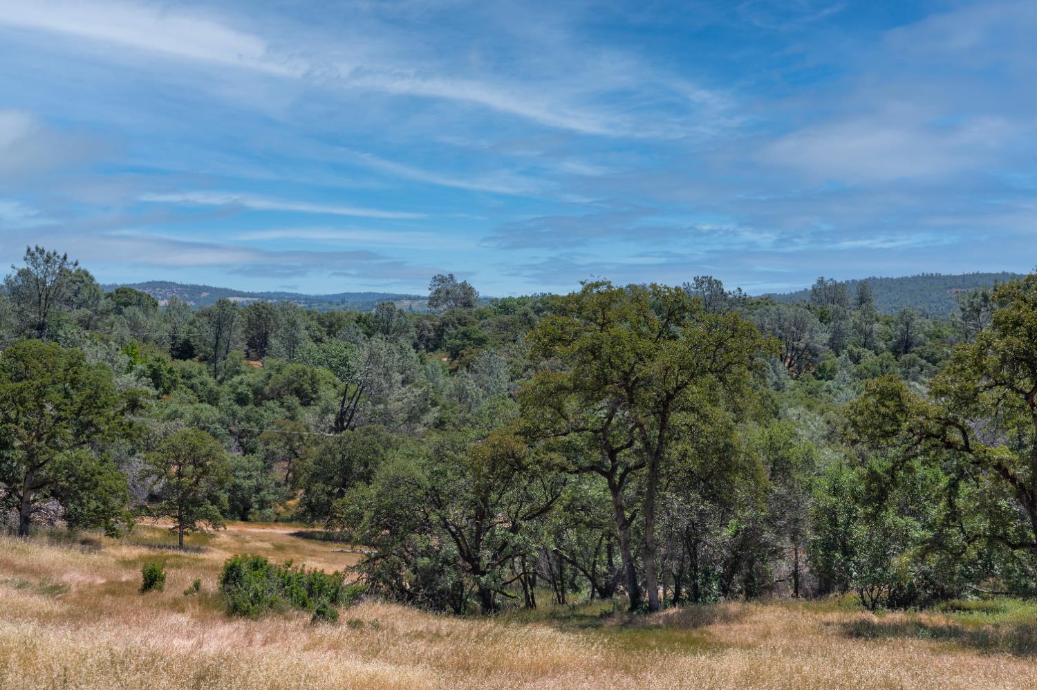 Roving Way, Grass Valley, California image 15