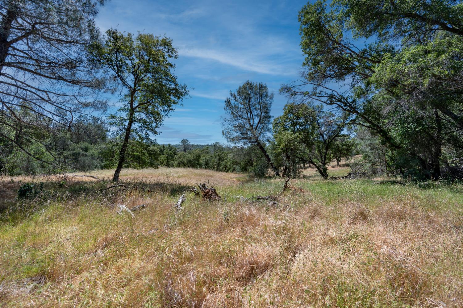 Roving Way, Grass Valley, California image 4