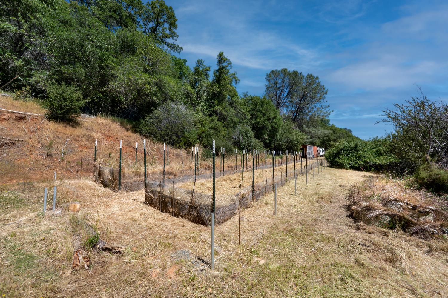 Roving Way, Grass Valley, California image 10