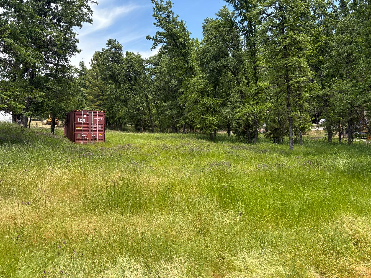 Forrest Oak Road, Pioneer, California image 3
