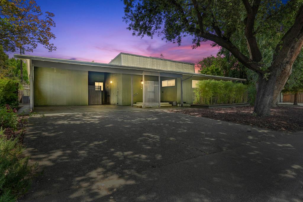 Sycamore Lane, Davis, California image 2