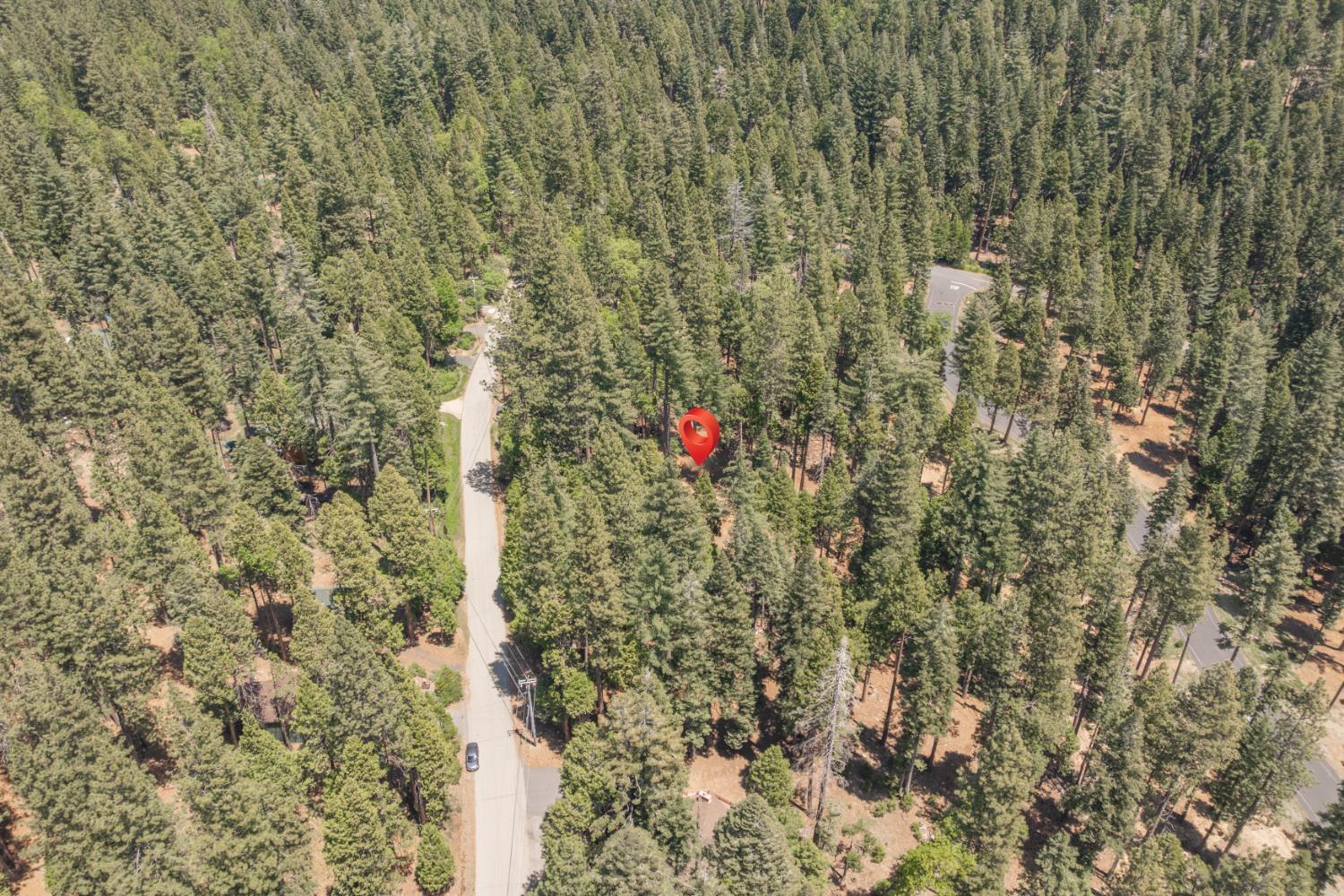 Shoshone Drive, Camp Connell, California image 6