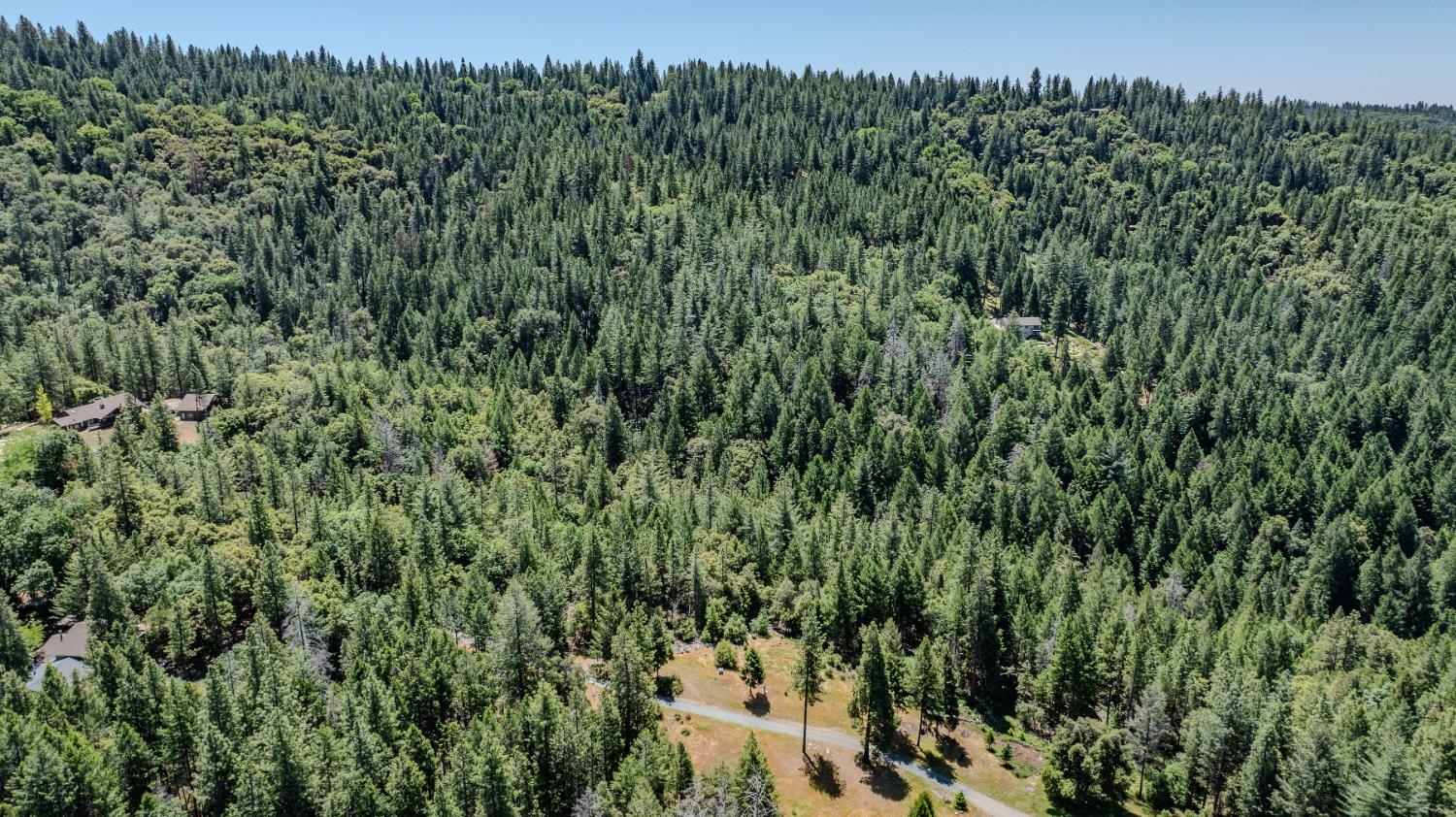 Allan Road, Volcano, California image 12