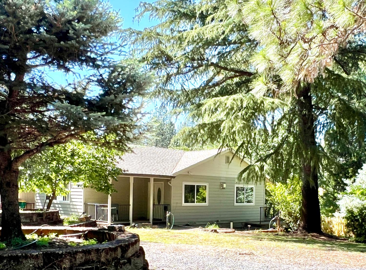 Olympia Lane, Placerville, California image 4