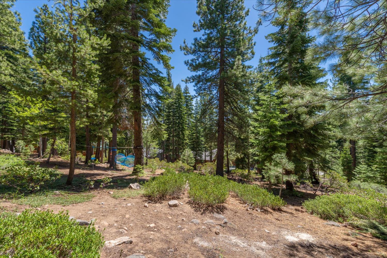 Falcon Point Place, Truckee, California image 6