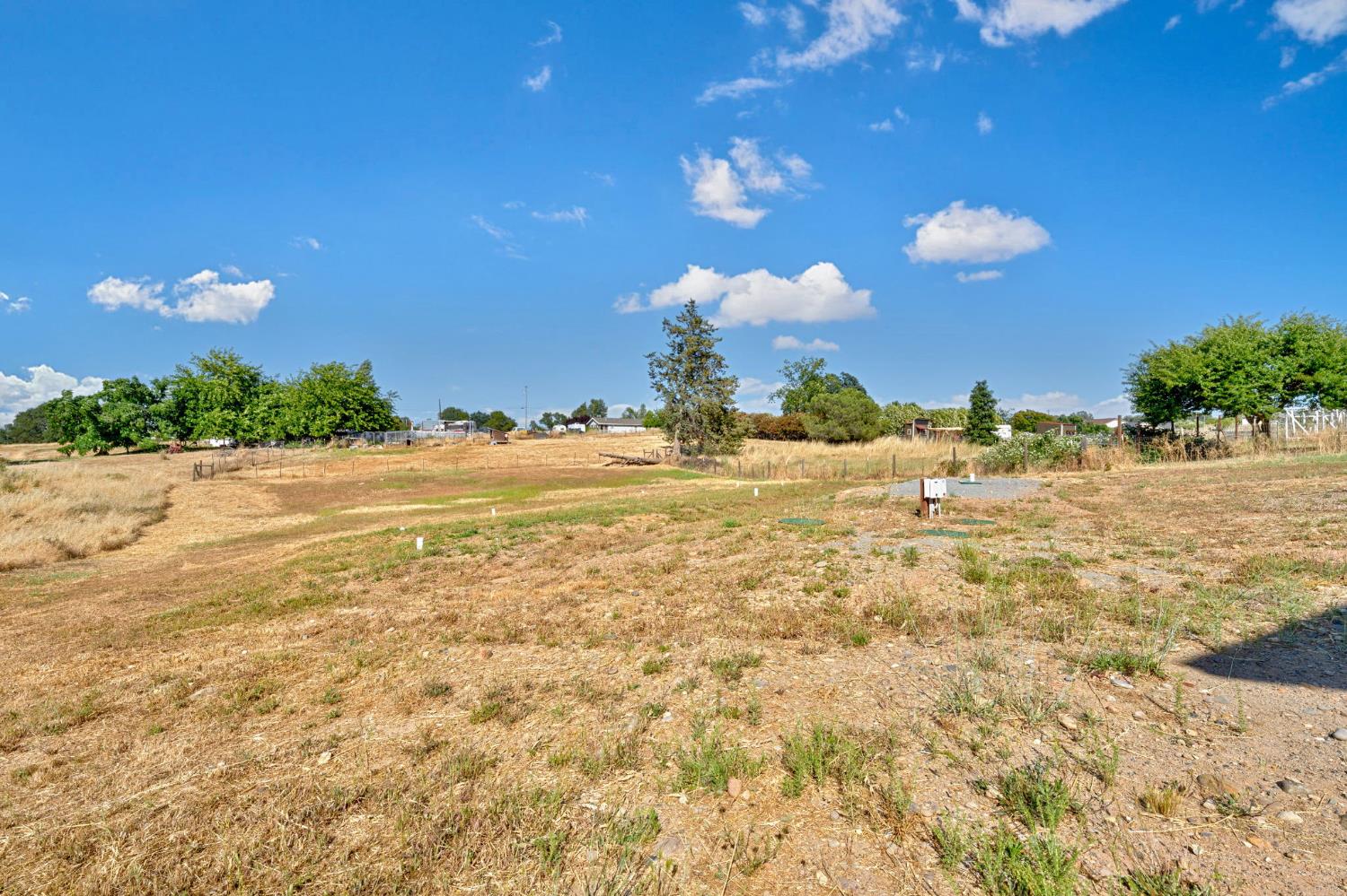 Coyote Drive, Ione, California image 39