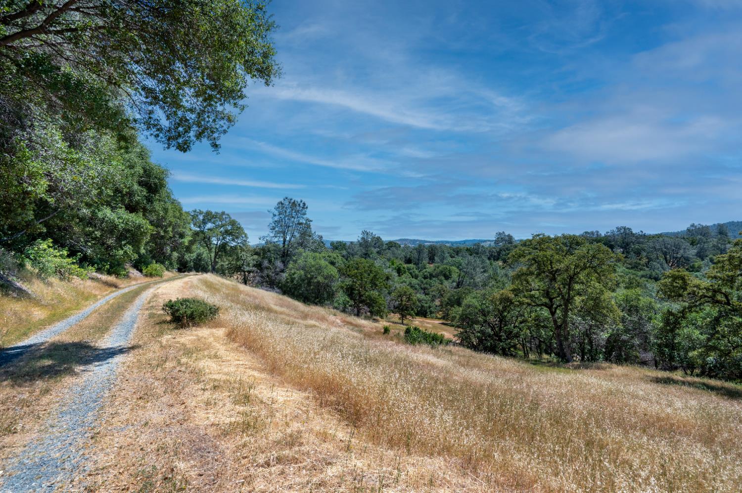 Roving Way, Grass Valley, California image 14