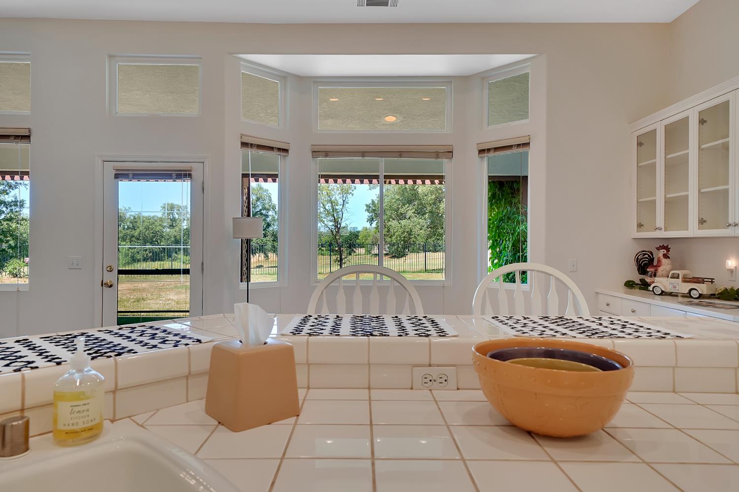 Oakview Drive, Ione, California image 26
