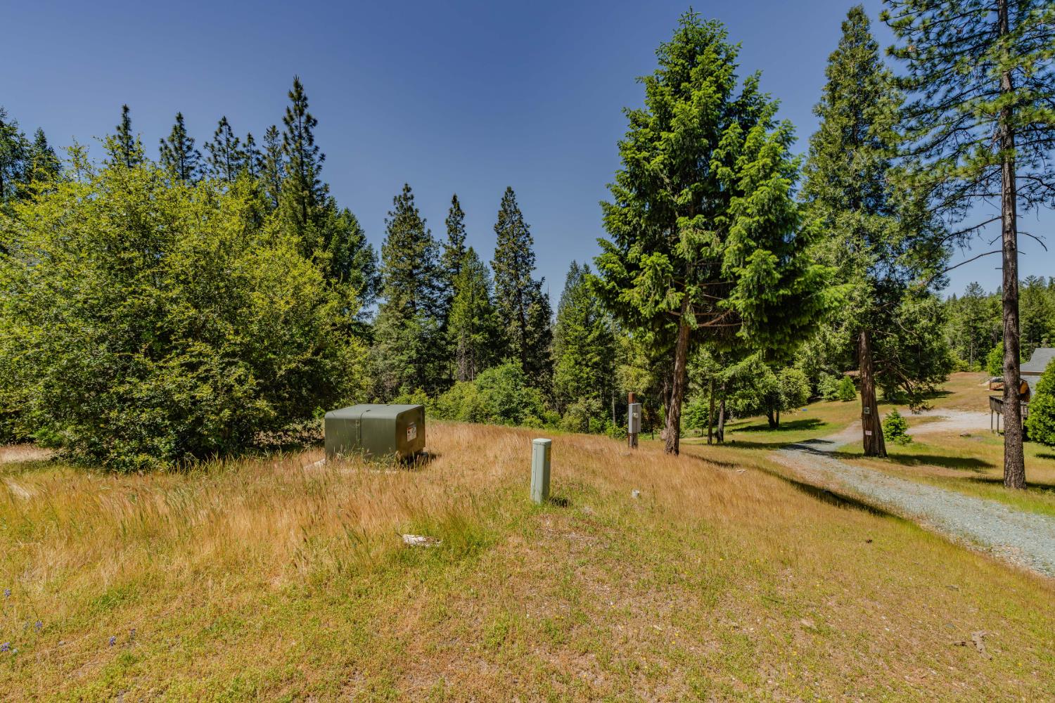 Allan Road, Volcano, California image 6