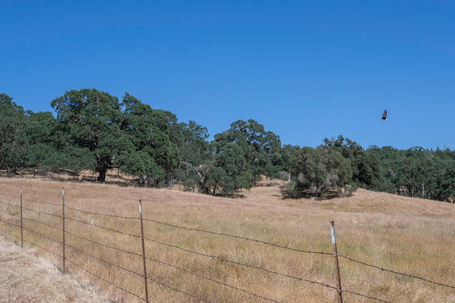 Campo Seco Road, Campo Seco, California image 50