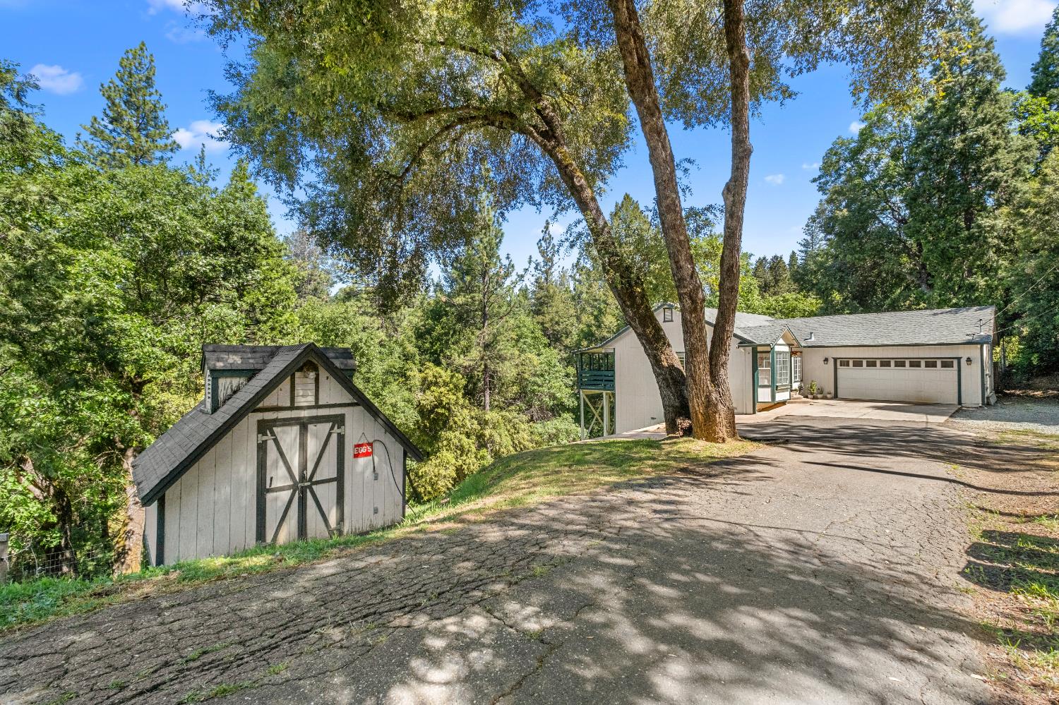 Sly Park Road, Placerville, California image 3