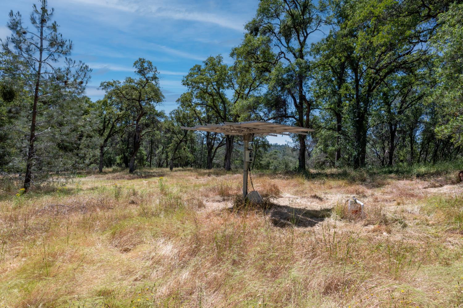 Roving Way, Grass Valley, California image 11
