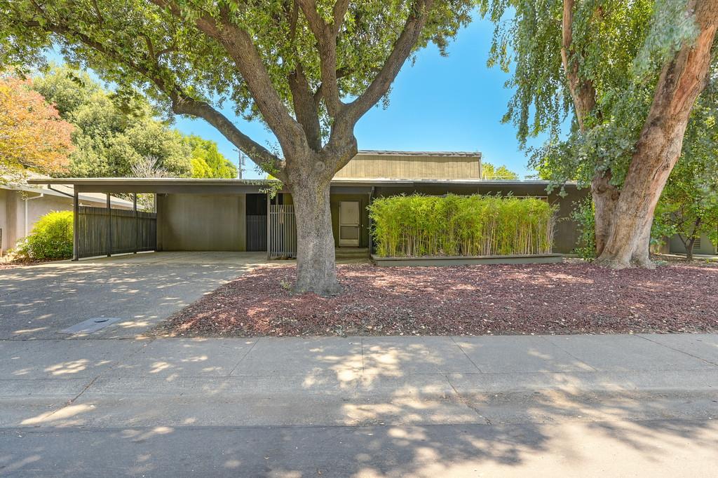 Sycamore Lane, Davis, California image 3
