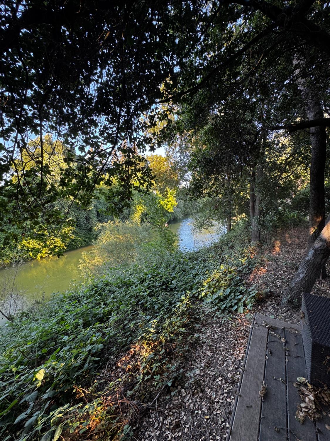 Riverside Drive, Woodbridge, California image 29