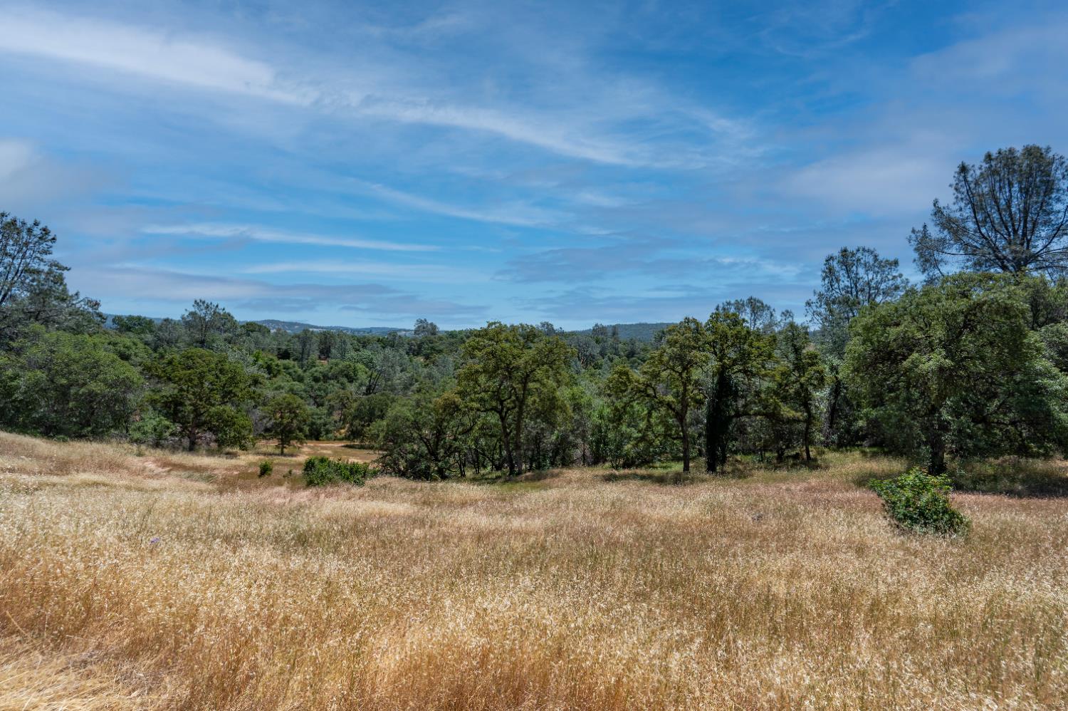 Roving Way, Grass Valley, California image 3